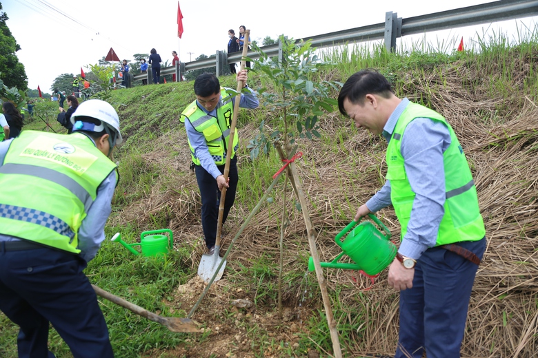 H&agrave;ng ngh&igrave;n c&acirc;y xanh được trồng dọc c&aacute;c tuyến quốc lộ sau Tết- Ảnh 7.