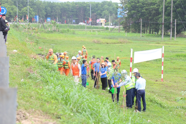 H&agrave;ng ngh&igrave;n c&acirc;y xanh được trồng dọc c&aacute;c tuyến quốc lộ sau Tết- Ảnh 5.