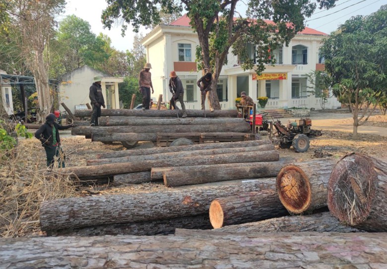 Bắt nh&oacute;m 30 người ph&aacute; rừng, đe dọa lực lượng chức năng tại Gia Lai- Ảnh 2.