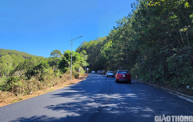 Dự &aacute;n cải tạo, n&acirc;ng cấp đ&egrave;o Mimosa gặp kh&oacute; v&igrave; vướng GPMB- Ảnh 3.