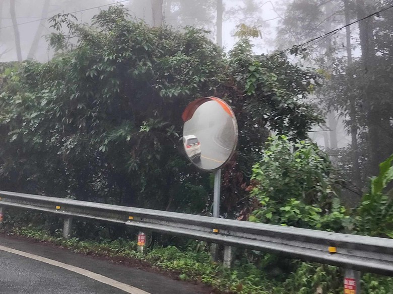 Xe khách mất phanh ở Tam Đảo: Hộ lan và cây rừng ngăn tai nạn thảm khốc- Ảnh 8. Xe khách mất phanh ở Tam Đảo: Hộ lan và cây rừng ngăn tai nạn thảm khốc- Ảnh 8.