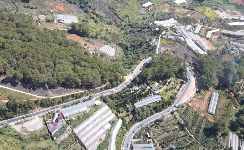 Dự &aacute;n cải tạo, n&acirc;ng cấp đ&egrave;o Mimosa gặp kh&oacute; v&igrave; vướng GPMB- Ảnh 7.