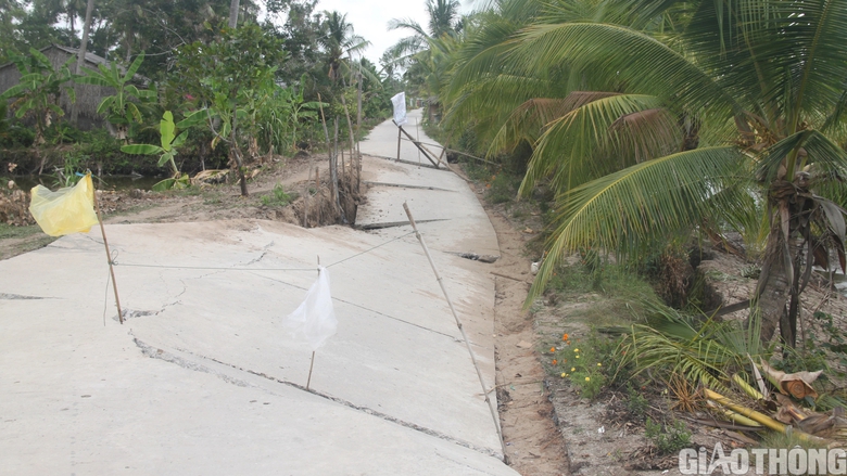 Đường sụt lún ô tô không thể qua, nông dân Cà Mau thuê xe máy chở lúa ra điểm tập kết- Ảnh 5. Đường sụt lún ô tô không thể qua, nông dân Cà Mau thuê xe máy chở lúa ra điểm tập kết- Ảnh 5.