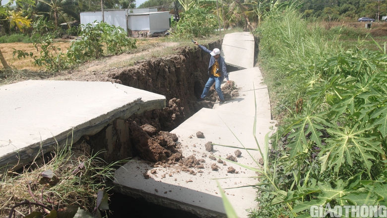 Đường sụt lún ô tô không thể qua, nông dân Cà Mau thuê xe máy chở lúa ra điểm tập kết- Ảnh 6. Đường sụt lún ô tô không thể qua, nông dân Cà Mau thuê xe máy chở lúa ra điểm tập kết- Ảnh 6.
