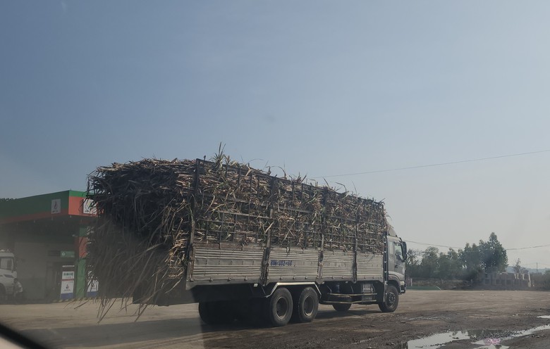 Xe chở m&iacute;a qu&aacute; khổ v&ocirc; tư 