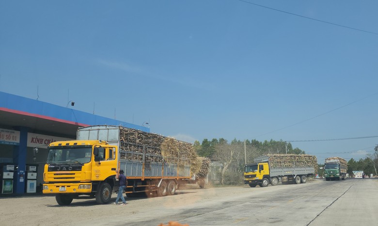 Xe chở m&iacute;a qu&aacute; khổ v&ocirc; tư 
