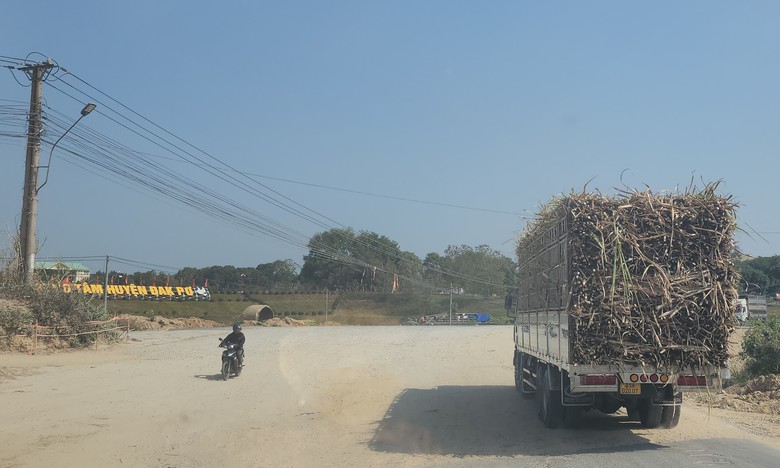 Xe chở m&iacute;a qu&aacute; khổ v&ocirc; tư 