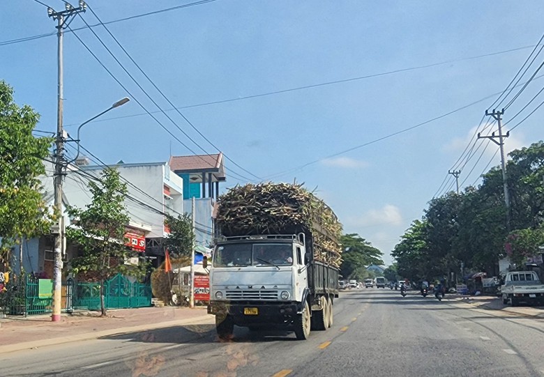 Xe chở m&iacute;a qu&aacute; khổ v&ocirc; tư 