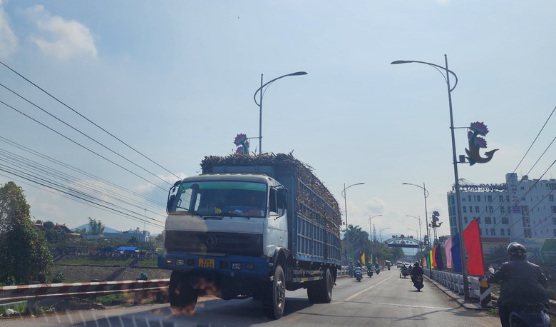 Xe chở m&iacute;a qu&aacute; khổ v&ocirc; tư 