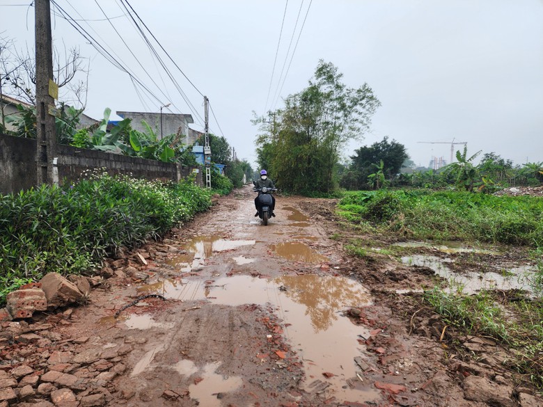 Nam Định: Người d&acirc;n 