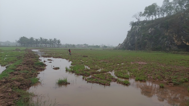 2 th&aacute;ng chưa thi c&ocirc;ng được m&oacute;ng đường d&acirc;y 500kV, 