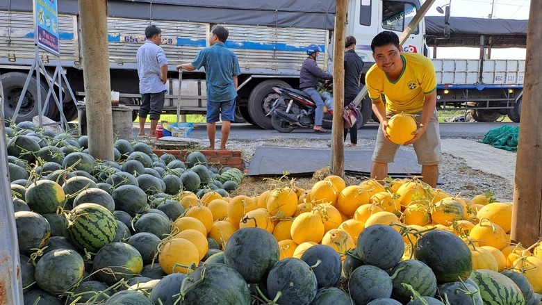 Nông dân miền Tây phấn khởi thu hoạch dưa hấu đón Tết- Ảnh 9. Nông dân miền Tây phấn khởi thu hoạch dưa hấu đón Tết- Ảnh 9.