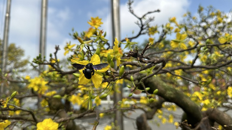 Chi&ecirc;m ngưỡng những 