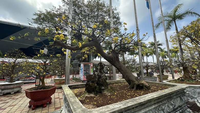 Chi&ecirc;m ngưỡng những 