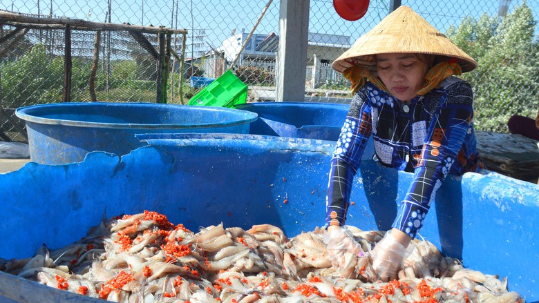 L&agrave;ng c&aacute; kh&ocirc; lớn nhất C&agrave; Mau tất bật chuẩn bị cho vụ Tết- Ảnh 5.