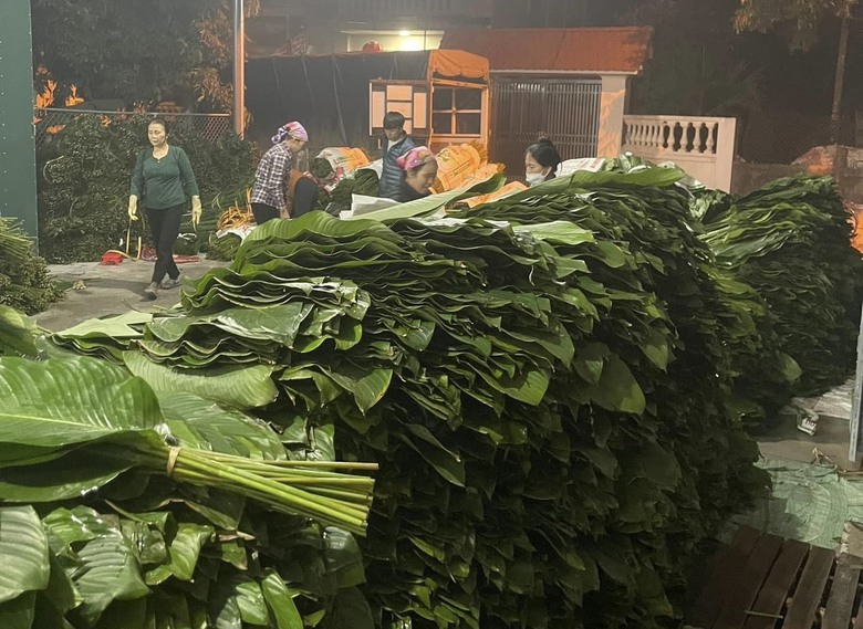 L&aacute; dong khan hiếm, gi&aacute; đắt gấp 3 lần năm ngo&aacute;i- Ảnh 1.