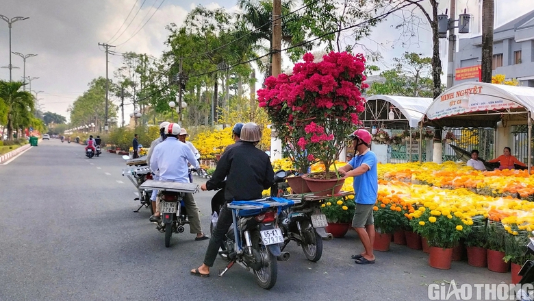 Dịch vụ chở thuê hoa kiểng ở Bạc Liêu ăn nên làm ra dịp Tết- Ảnh 1. Dịch vụ chở thuê hoa kiểng ở Bạc Liêu ăn nên làm ra dịp Tết- Ảnh 1.