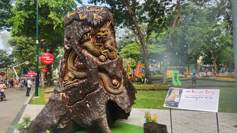 Hội hoa xu&acirc;n TP.HCM khoe sắc thu h&uacute;t người d&acirc;n 