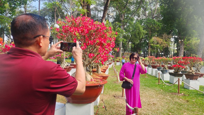 Hội hoa xu&acirc;n TP.HCM khoe sắc thu h&uacute;t người d&acirc;n 