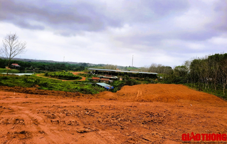 Tất bật thi c&ocirc;ng cao tốc Vạn Ninh - Cam Lộ những ng&agrave;y gi&aacute;p Tết- Ảnh 13.