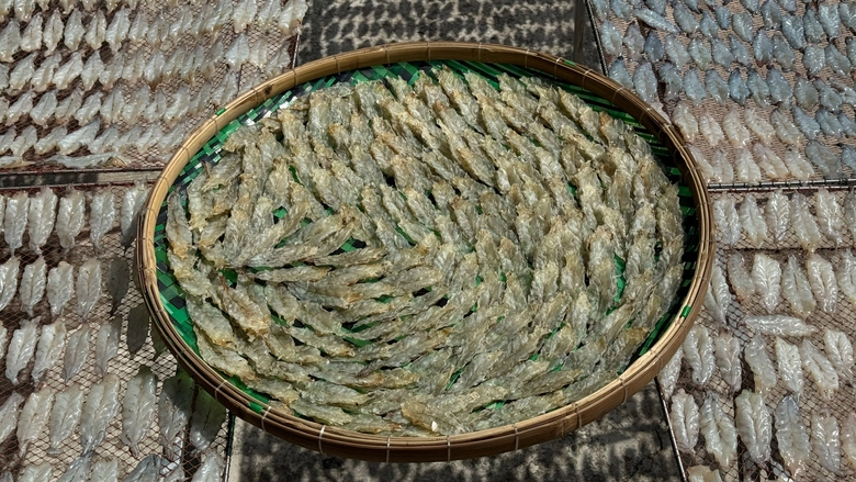 Về C&agrave; Mau xem l&agrave;m t&ocirc;m lụi gi&aacute; hơn 1 triệu đồng/kg- Ảnh 2.