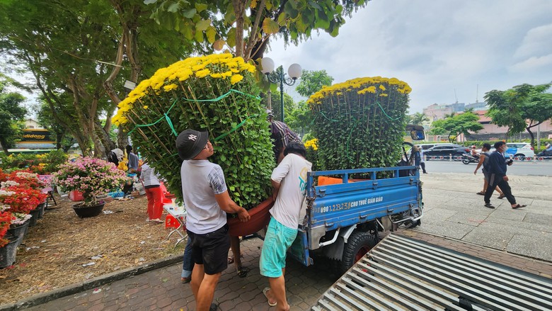 Người dân TP.HCM tranh thủ mua hoa giảm giá chiều 29 Tết- Ảnh 3. Người dân TP.HCM tranh thủ mua hoa giảm giá chiều 29 Tết- Ảnh 3.