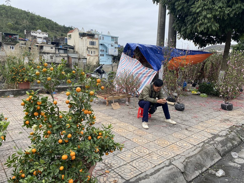 Quất, đ&agrave;o ế ẩm, tiểu thương 