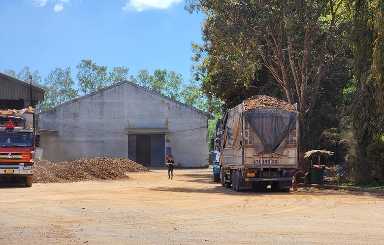 Ph&oacute; gi&aacute;m đốc C&ocirc;ng an tỉnh Đắk Lắk trực tiếp kiểm tra, xử l&yacute; xe qu&aacute; tải- Ảnh 2.