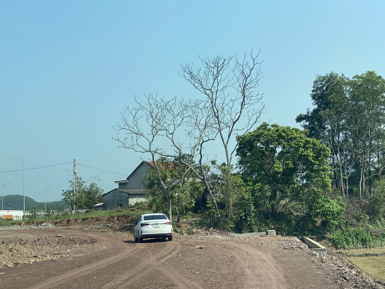 Vướng mặt bằng, dự &aacute;n đường gom cao tốc gần 200 tỷ đồng ở Quảng Ninh 