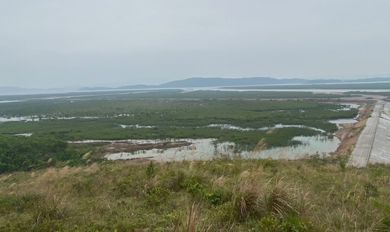 Quảng Ninh: Lạ l&ugrave;ng tuyến đ&ecirc; triệu đ&ocirc; x&acirc;y xong rồi bỏ kh&ocirc;ng- Ảnh 4.