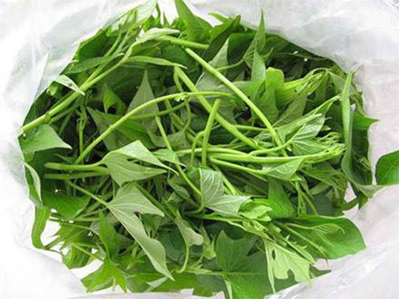 Loại rau qu&ecirc; gi&agrave;u dinh dưỡng ngang sữa, cực tốt cho phụ nữ trung ni&ecirc;n- Ảnh 1.