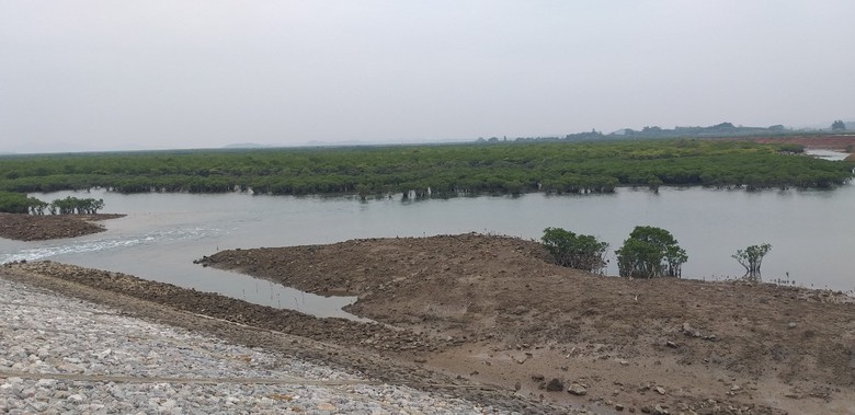 Quảng Ninh: Lạ l&ugrave;ng tuyến đ&ecirc; triệu đ&ocirc; x&acirc;y xong rồi bỏ kh&ocirc;ng- Ảnh 3.