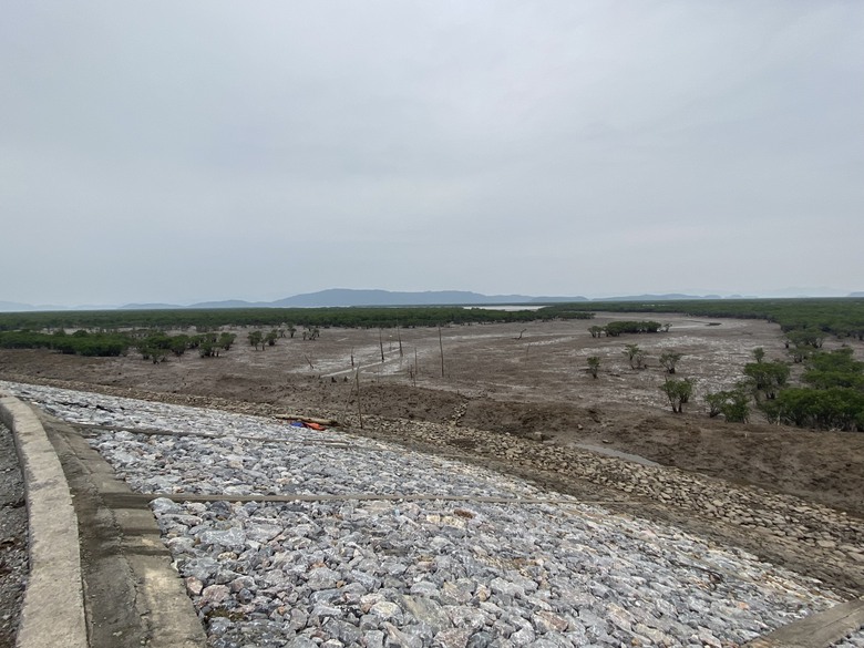 Quảng Ninh: Lạ l&ugrave;ng tuyến đ&ecirc; triệu đ&ocirc; x&acirc;y xong rồi bỏ kh&ocirc;ng- Ảnh 5.