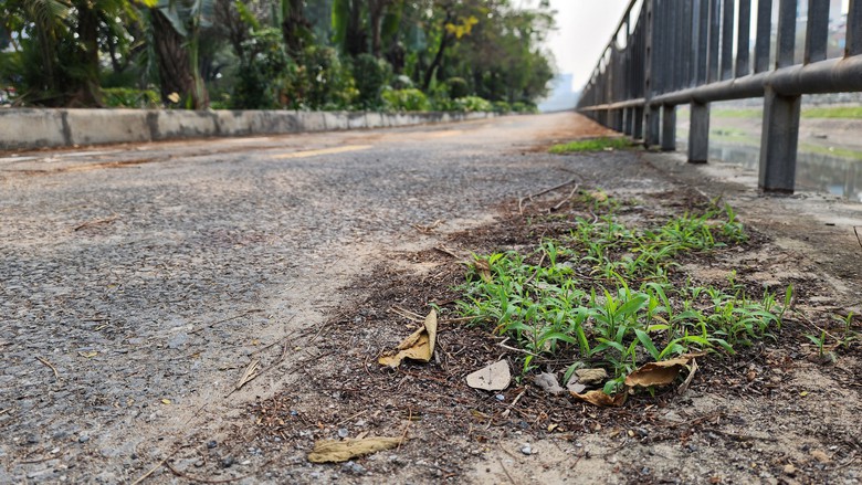 Đường d&agrave;nh ri&ecirc;ng cho xe đạp đầu ti&ecirc;n của H&agrave; Nội 