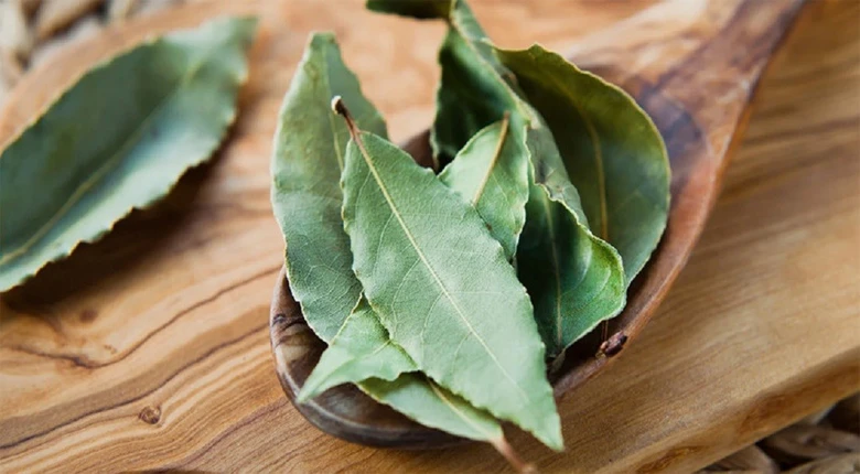 Loại l&aacute; d&acirc;n d&atilde; t&aacute;c dụng "thần th&aacute;nh", ra nước ngo&agrave;i chi tiền triệu mới mua được - Ảnh 3.