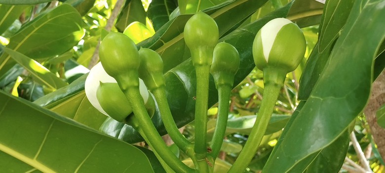 Sắc xanh nơi &ldquo;những người nằm lại ph&iacute;a ch&acirc;n trời&rdquo;- Ảnh 9.