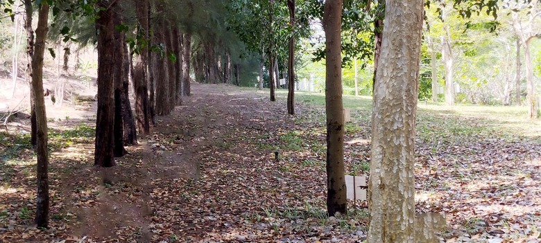 Sắc xanh nơi &ldquo;những người nằm lại ph&iacute;a ch&acirc;n trời&rdquo;- Ảnh 11.