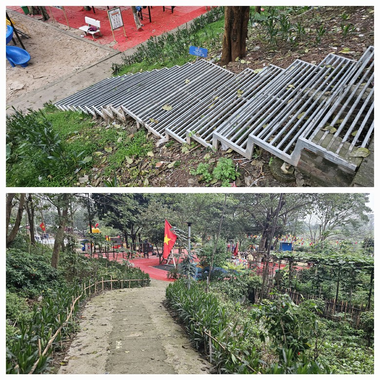 Công viên rừng giữa lòng Hà Nội được hồi sinh từ bãi rác- Ảnh 4. Công viên rừng giữa lòng Hà Nội được hồi sinh từ bãi rác- Ảnh 4.