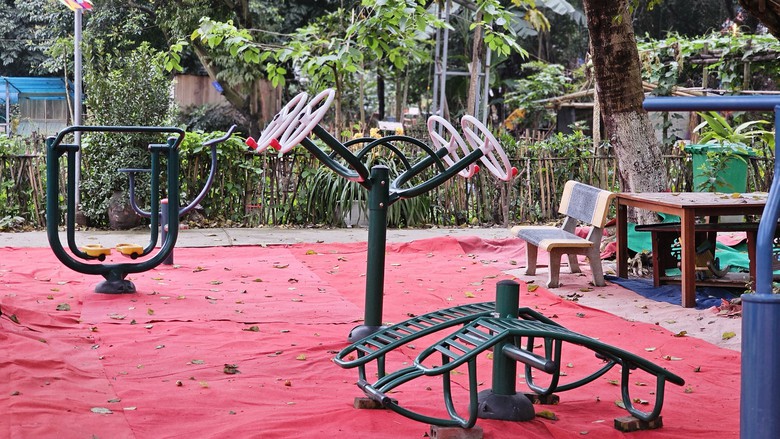 Công viên rừng giữa lòng Hà Nội được hồi sinh từ bãi rác- Ảnh 12. Công viên rừng giữa lòng Hà Nội được hồi sinh từ bãi rác- Ảnh 12.