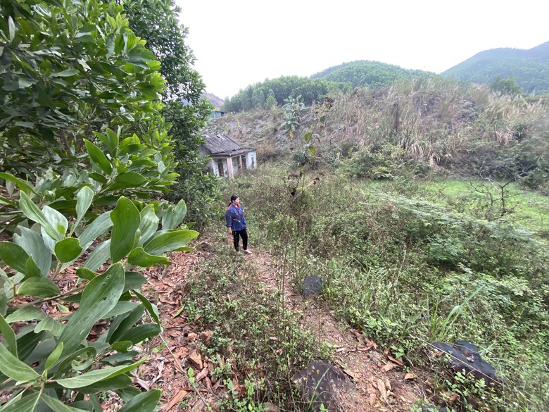 Quảng Ninh: Hơn 16 năm l&agrave;m kh&ocirc;ng xong gần 10km đường chuy&ecirc;n dụng- Ảnh 3.