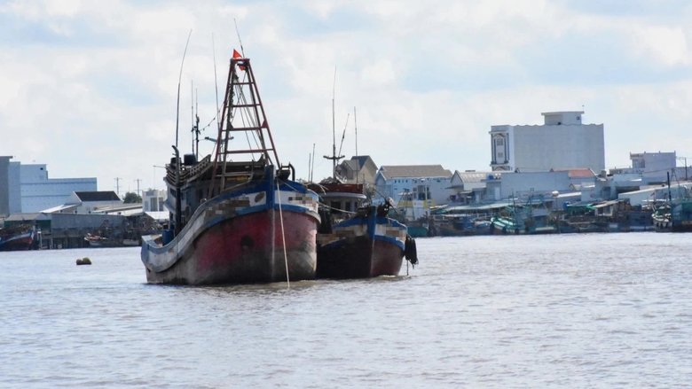 C&agrave; Mau: Bắt c&aacute;n bộ tư ph&aacute;p nhận hối lộ để chứng thực hồ sơ khống- Ảnh 1.