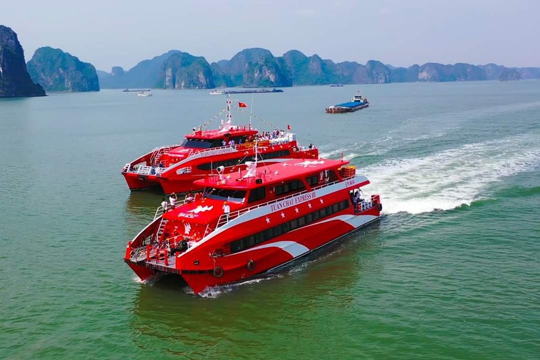 Quảng Ninh th&iacute; điểm du thuyền đẳng cấp trải nghiệm vịnh B&aacute;i Tử Long- Ảnh 2.