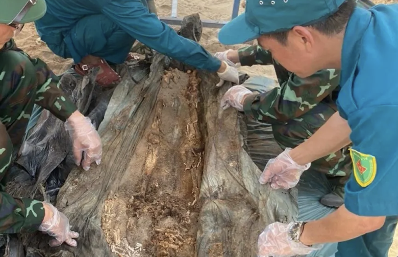 Thi c&ocirc;ng cao tốc Bến Lức - Long Th&agrave;nh ph&aacute;t hiện h&agrave;i cốt liệt sĩ- Ảnh 1.