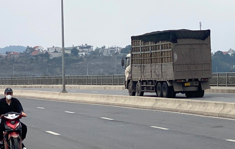 Quảng Ninh: Lo cầu, đường ngh&igrave;n tỷ mất an to&agrave;n v&igrave; dăm gỗ- Ảnh 2.