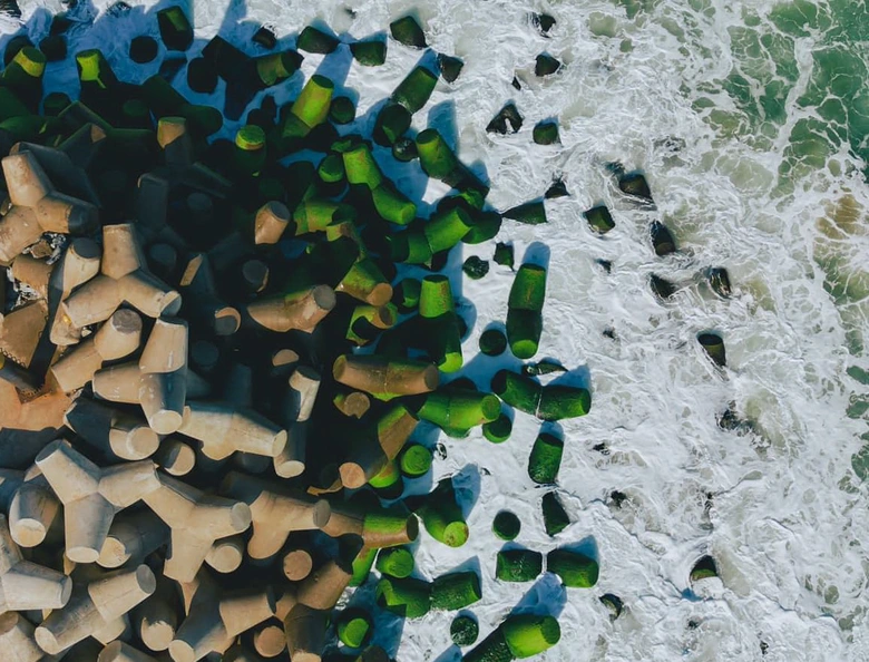 Khung cảnh cực chill ở bờ k&egrave; l&agrave;ng biển phủ k&iacute;n r&ecirc;u xanh- Ảnh 4.