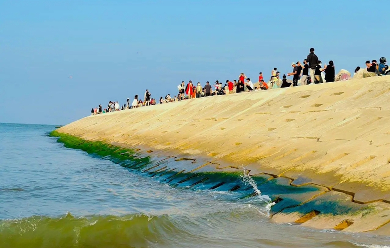 Khung cảnh cực chill ở bờ k&egrave; l&agrave;ng biển phủ k&iacute;n r&ecirc;u xanh- Ảnh 11.