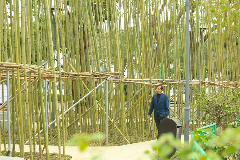 Người H&agrave; Nội th&iacute;ch th&uacute; với rừng tr&uacute;c thu nhỏ giữa Thủ đ&ocirc;- Ảnh 3.