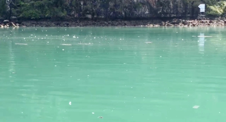 Khẩn trương xử lý phao xốp bủa vây vịnh Hạ Long- Ảnh 1. Khẩn trương xử lý phao xốp bủa vây vịnh Hạ Long- Ảnh 1.