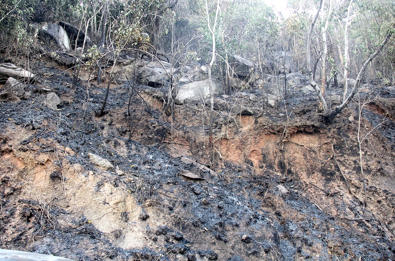 Tài xế bớt hồi hộp khi qua đèo Ngoạn Mục- Ảnh 2. Tài xế bớt hồi hộp khi qua đèo Ngoạn Mục- Ảnh 2.