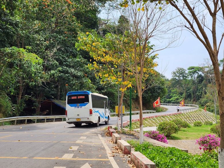 C&oacute; một c&aacute;nh rừng mang t&ecirc;n Đại tướng V&otilde; Nguy&ecirc;n Gi&aacute;p tại Sơn La- Ảnh 4.